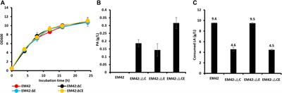 Bioproduction of propionic acid using levulinic acid by engineered Pseudomonas putida